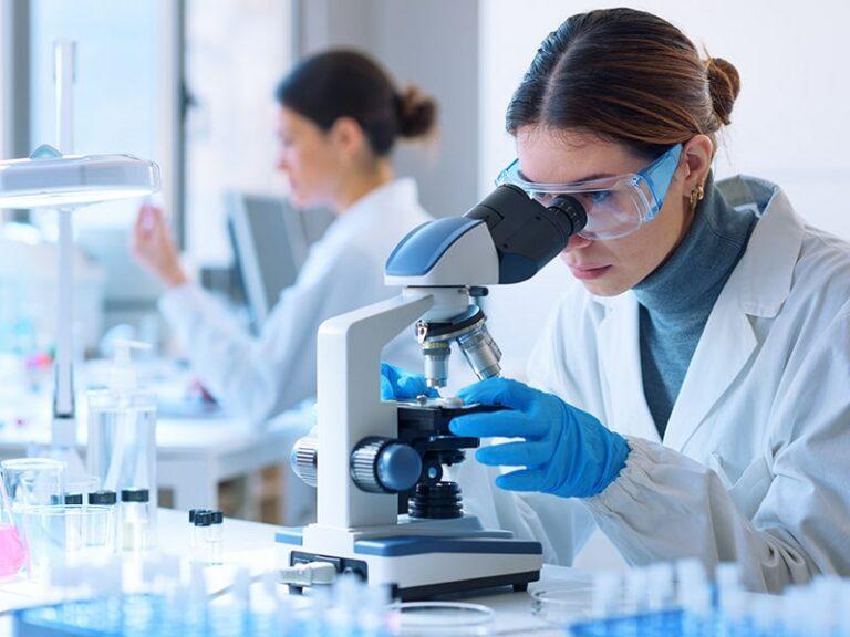 Hygieneinspektion Mikroskopische Analyse im Labor